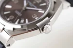 Vacheron Constantin Overseas Gray Dial Number Roman 42mm – VIP Version - Image 6