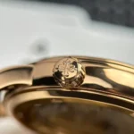 Patek Philippe Grand Complications 6102R-001 Celestial Moon Age – VIP Version - Image 7