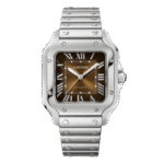Cartier Santos De Cartier Chocolate Dial WSSA0065 35.5mm – VIP Version