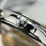 Patek Philippe Grand Complications 6102P-001 Celestial Moon Age – VIP Version - Image 6